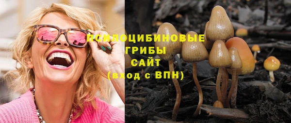 герыч Снежногорск