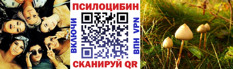 Галлюциногенные грибы мицелий  дарк нет наркотические препараты  Дубовка 